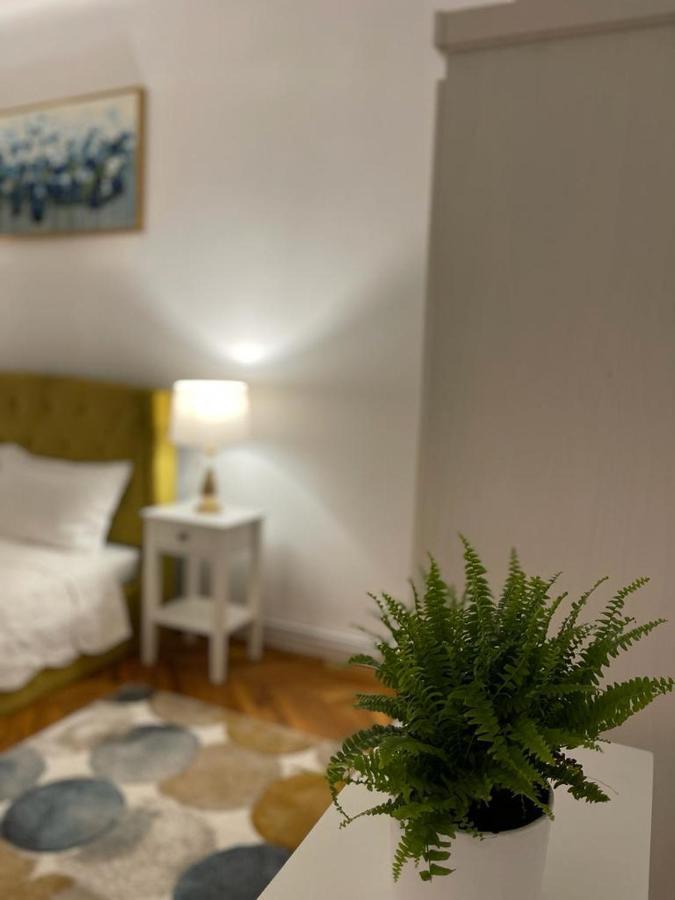 Cityviews Apartment Cluj Zewnętrze zdjęcie