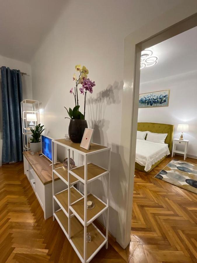 Cityviews Apartment Cluj Zewnętrze zdjęcie