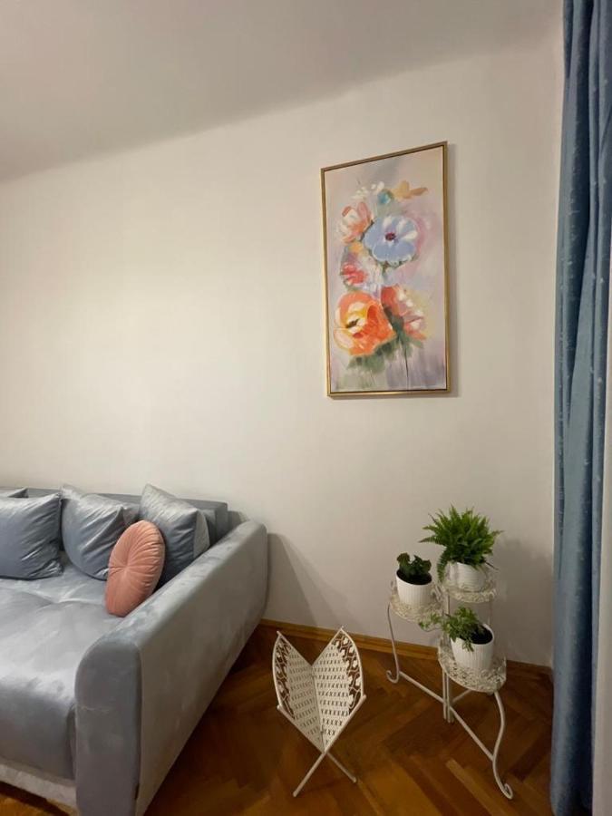 Cityviews Apartment Cluj Zewnętrze zdjęcie