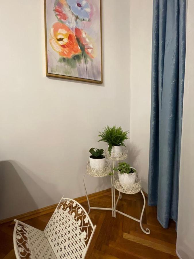 Cityviews Apartment Cluj Zewnętrze zdjęcie