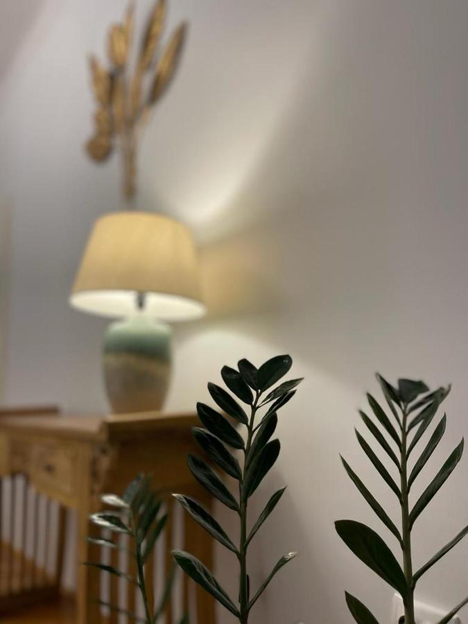Cityviews Apartment Cluj Zewnętrze zdjęcie