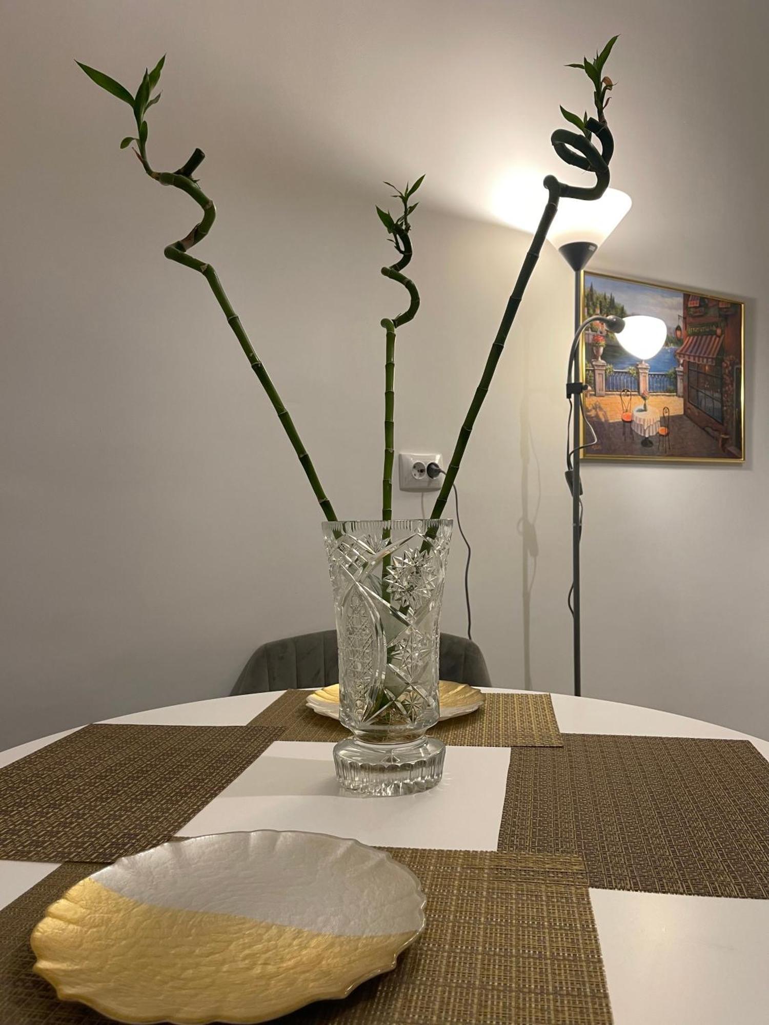 Cityviews Apartment Cluj Zewnętrze zdjęcie